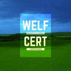 Welfcert